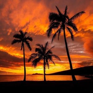 Meet your Posher, Maya